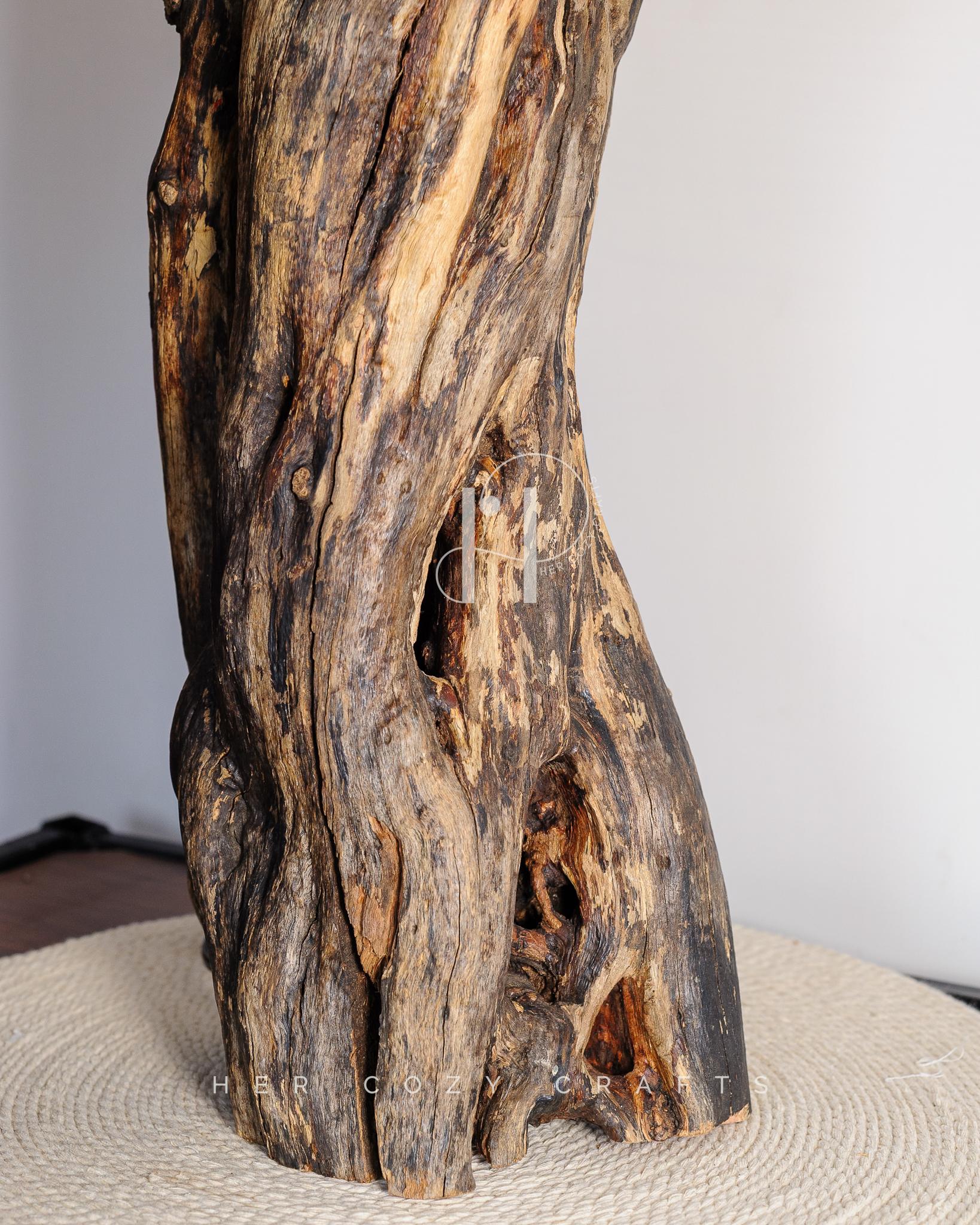Tall Stump Lamp | Natural Wood Stump Lamp with Premium Drum Shade Finish