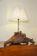 Drift Crest Lamp - Sloping driftwood base with macrame cone shade