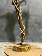 Curled roots lamp - made from vintage wood with two bulbs hanging