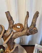 Hillhouse Branch Lamp - Forked driftwood stem with hanging bulb and cottage base