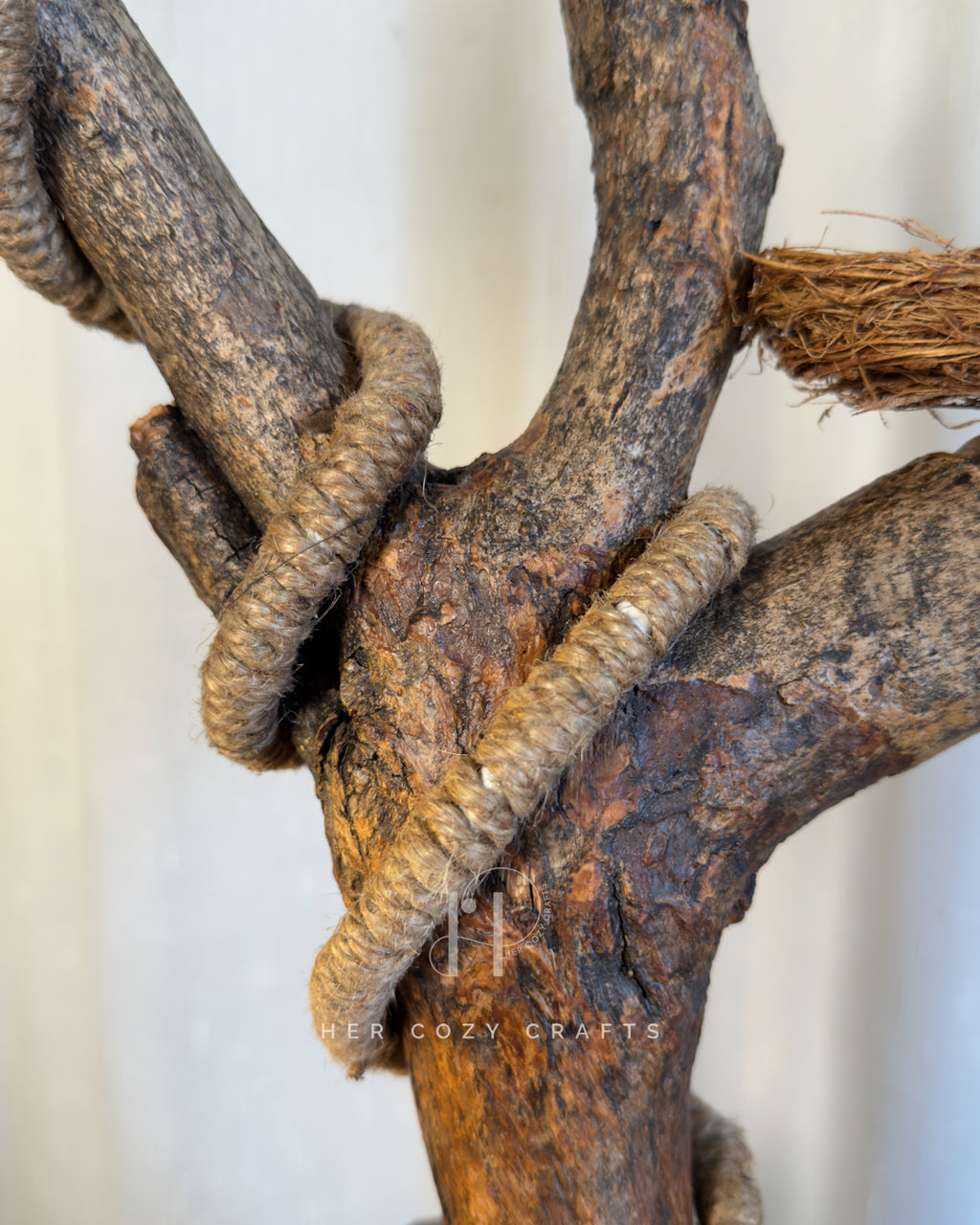 Hillhouse Branch Lamp - Forked driftwood stem with hanging bulb and cottage base