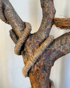 Hillhouse Branch Lamp - Forked driftwood stem with hanging bulb and cottage base
