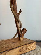 Branchlight Signature table  Lamp