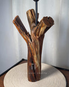 Crown Stump Lamp - Forked wood column with off white shade