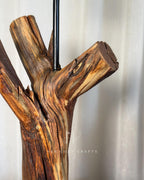 Crown Stump Lamp - Forked wood column with off white shade