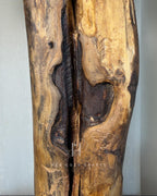Woodline Lamp