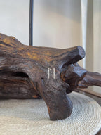 Root Shade Lamp – Sculptural Driftwood lamp with Off-White Fabric Shade