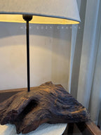 Root Haven Lamp