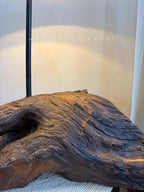 Root Haven Lamp