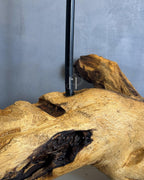 Driftwood Arch Lamp - Sculptural natural wood base with off white fabric shade