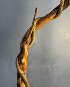 Wildwood Branch Lamp - Natural Driftwood Base with Jute-Wrapped Hanging Bulb