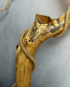 Root & Rope Lamp