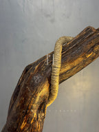 Rope Branch Lamp - Natural Driftwood Frame with Jute-Wrapped Hanging Bulb