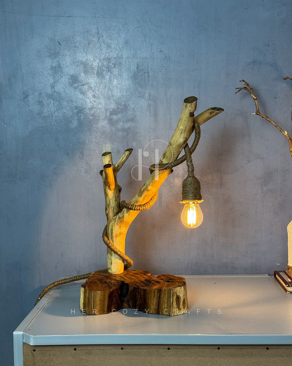 Branchlight Lamp - Organic Driftwood Base with Hanging Bulb