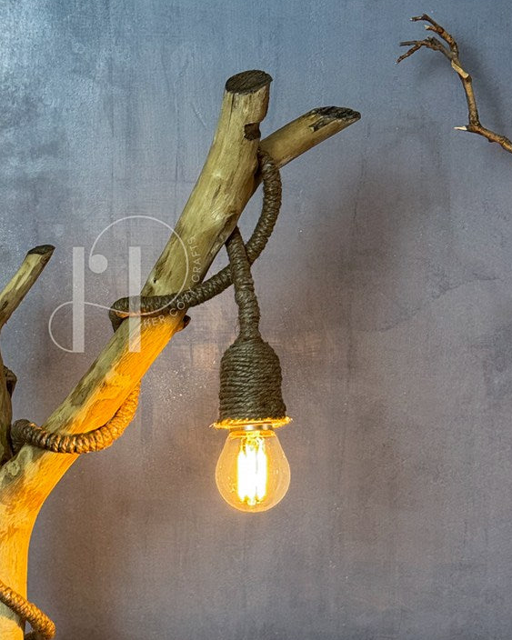 Branchlight Lamp - Organic Driftwood Base with Hanging Bulb