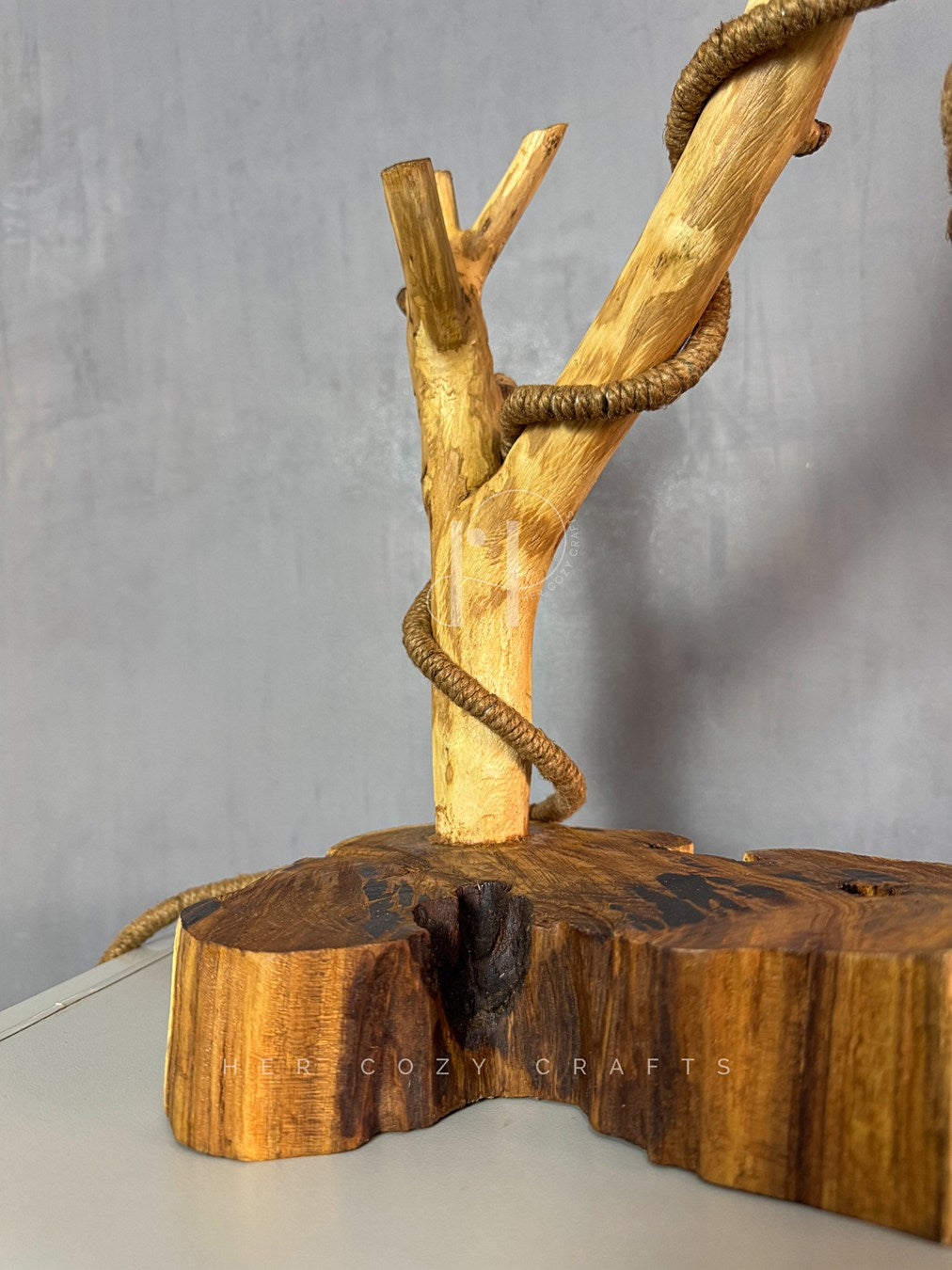 Branchlight Lamp - Organic Driftwood Base with Hanging Bulb