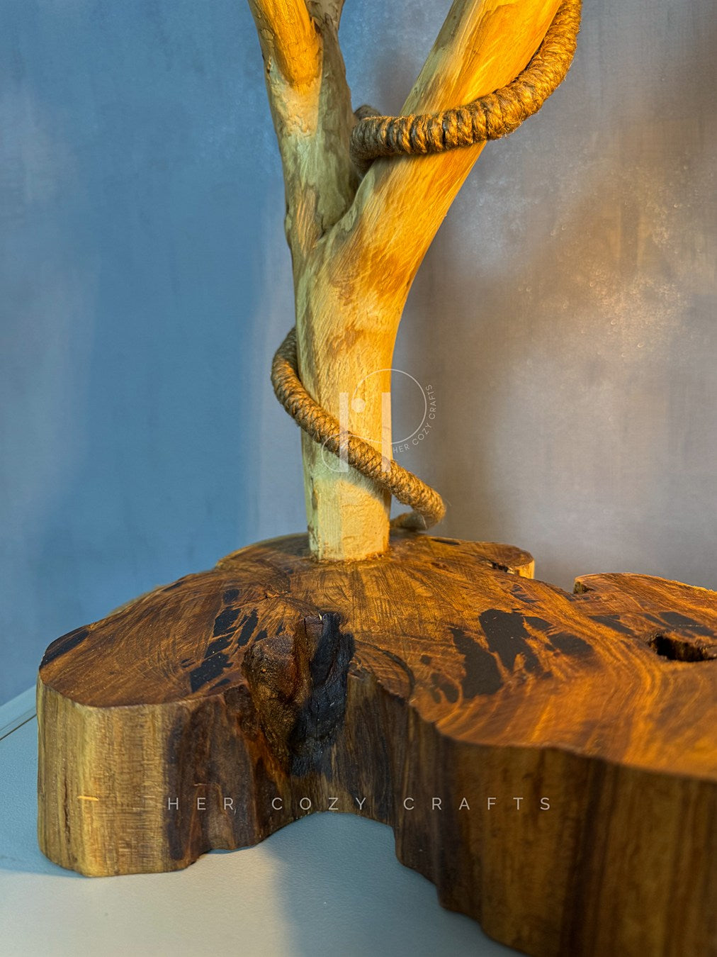 Branchlight Lamp - Organic Driftwood Base with Hanging Bulb