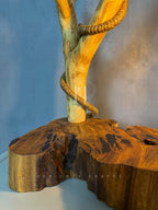 Branchlight Lamp - Organic Driftwood Base with Hanging Bulb