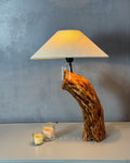 Curved Root Lamp – Sculptural Wooden Base with Soft Fabric Shade
