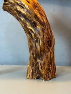 Curved Root Lamp – Sculptural Wooden Base with Soft Fabric Shade