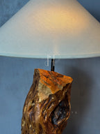 Root Glow Lamp – Sculptural Wooden Base with Off-White Fabric Shade