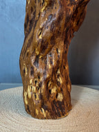 Root Glow Lamp – Sculptural Wooden Base with Off-White Fabric Shade