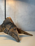 Driftwood Base Lamp – Sculptural Branch Wood with Off-White Fabric Shade