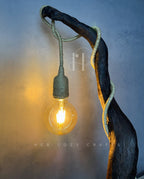 Branch Glow Lamp – Sculptural Curved Wood Base with Hanging Glass Bulb