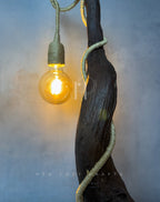 Branch Glow Lamp – Sculptural Curved Wood Base with Hanging Glass Bulb