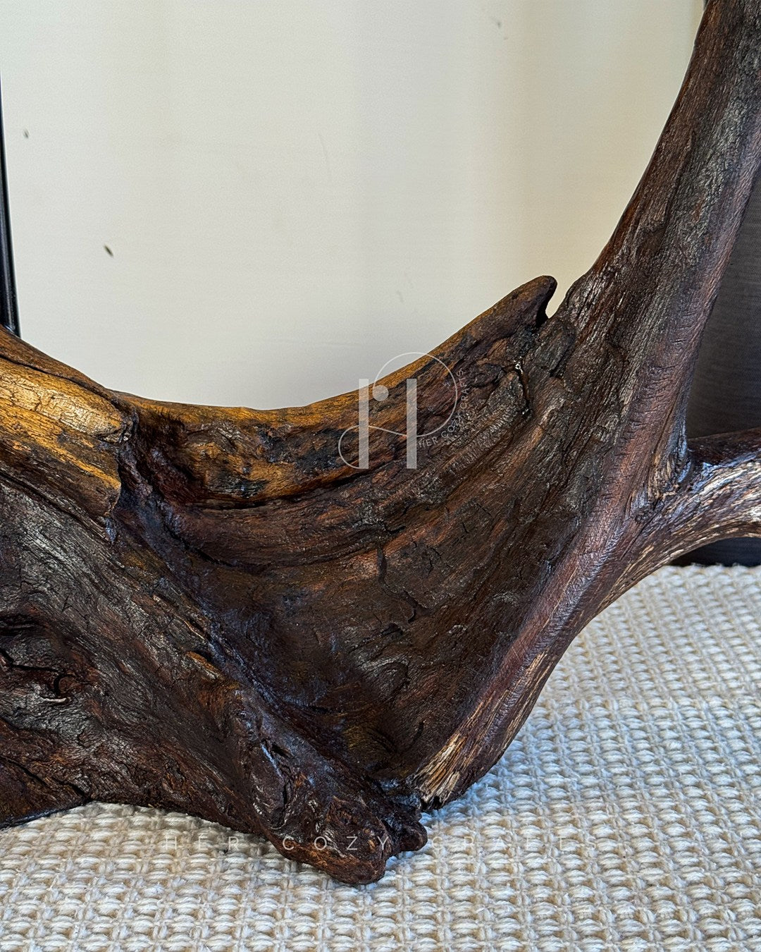 Wild Root Lamp - Sculptural Driftwood Base with Linen Shade