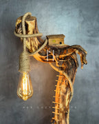 The Enchanted Hollow Lamp